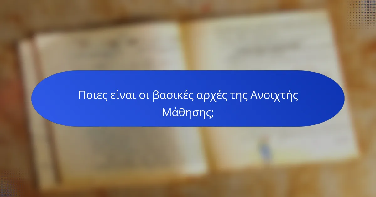 Ποιες είναι οι βασικές αρχές της Ανοιχτής Μάθησης;